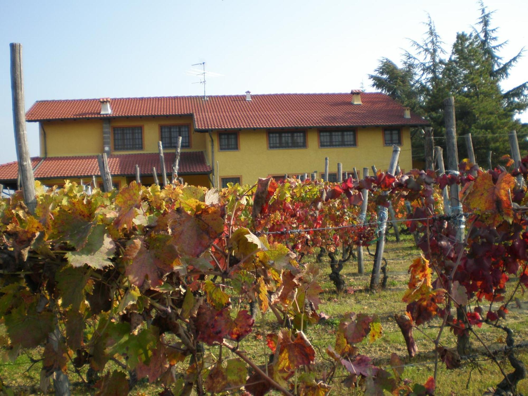 Villa Cascina La Maddalena Bed&Wine Rocca Grimalda Exterior foto