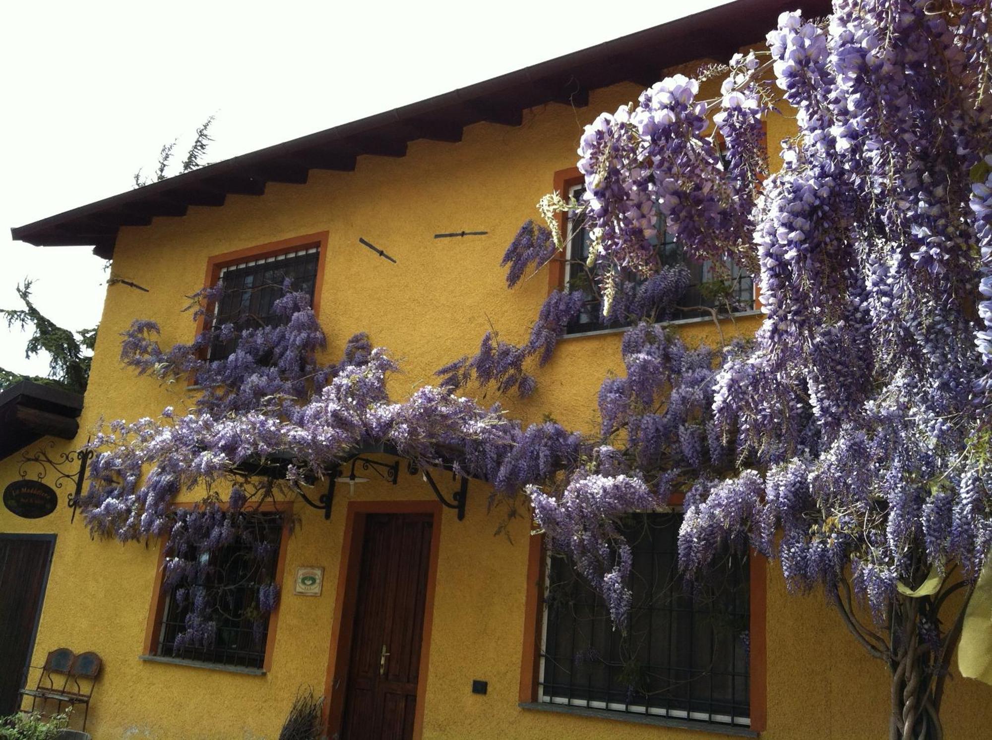 Villa Cascina La Maddalena Bed&Wine Rocca Grimalda Exterior foto