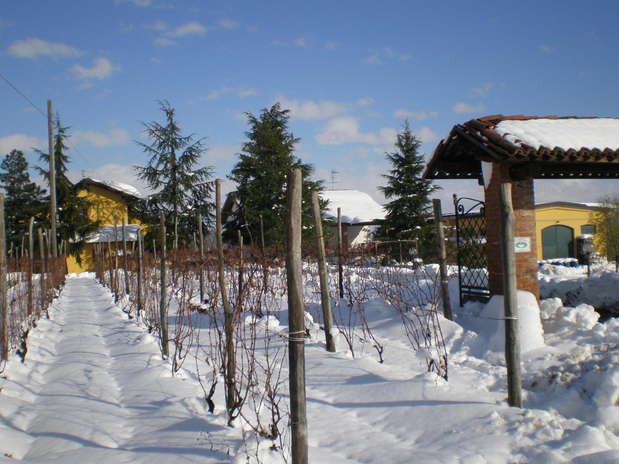 Villa Cascina La Maddalena Bed&Wine Rocca Grimalda Exterior foto