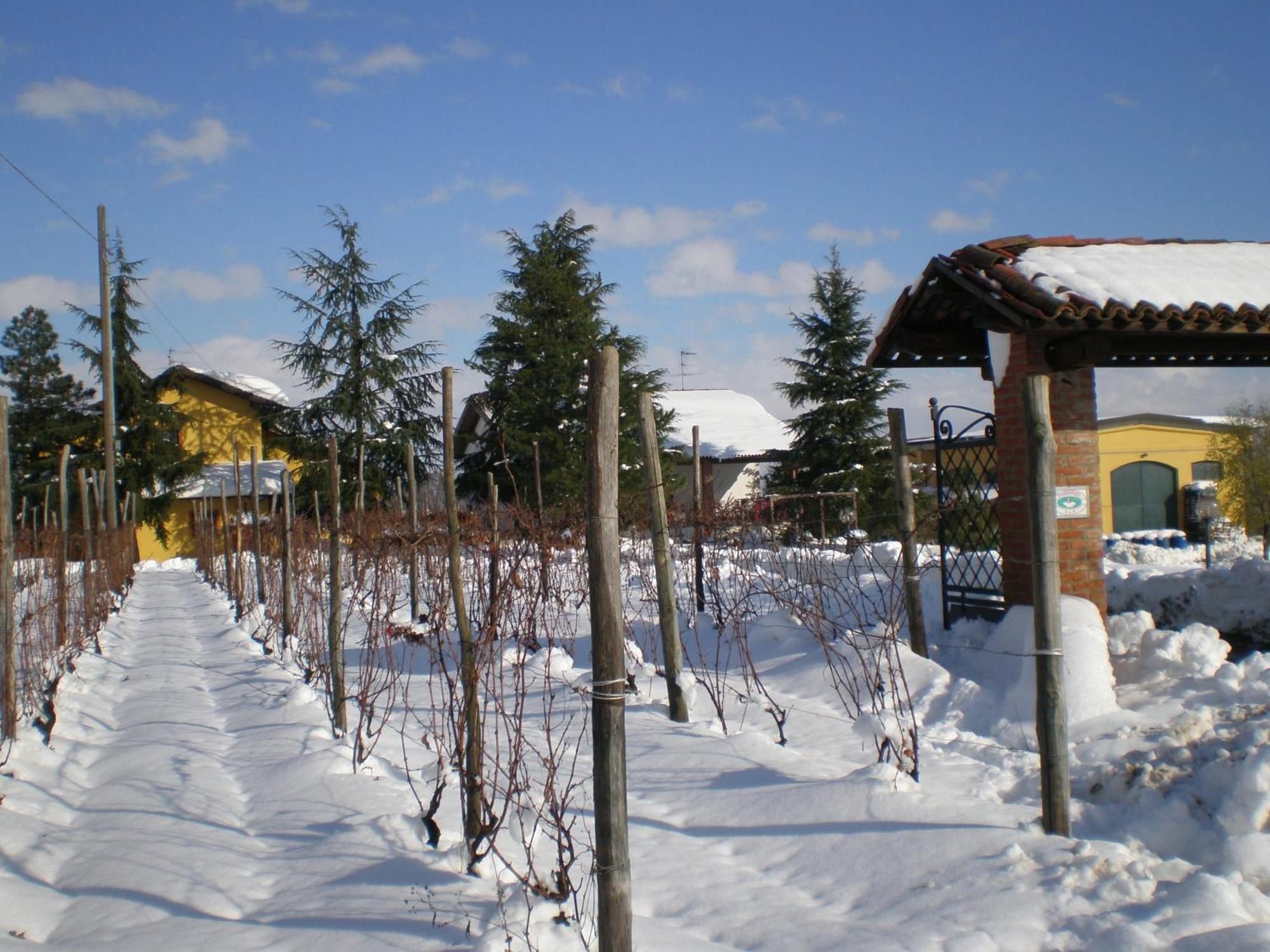 Cascina La Maddalena Bed&Wine Villa Rocca Grimalda Exterior foto